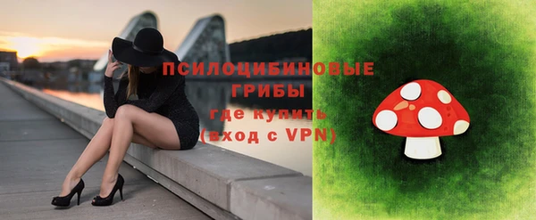ГАЛЛЮЦИНОГЕННЫЕ ГРИБЫ Алексин