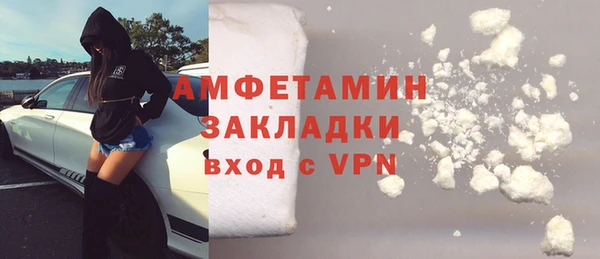 стаф Алзамай