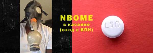 стаф Алзамай