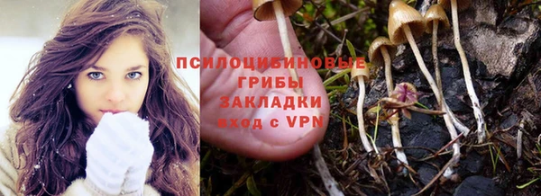 ГАЛЛЮЦИНОГЕННЫЕ ГРИБЫ Алексин