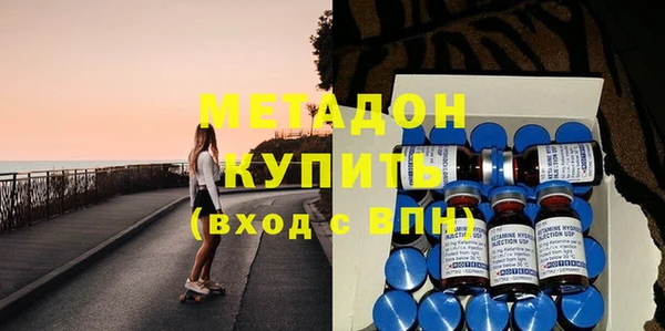 стаф Алзамай
