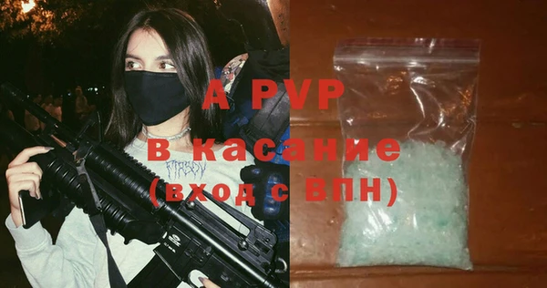 стаф Алзамай