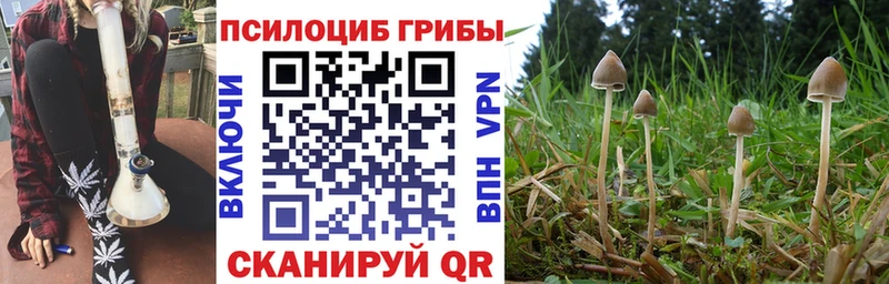 Псилоцибиновые грибы GOLDEN TEACHER Ефремов