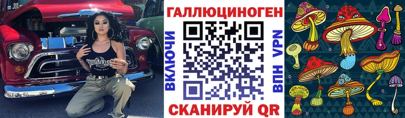 где купить наркоту Ефремов Псилоцибиновые грибы Cubensis