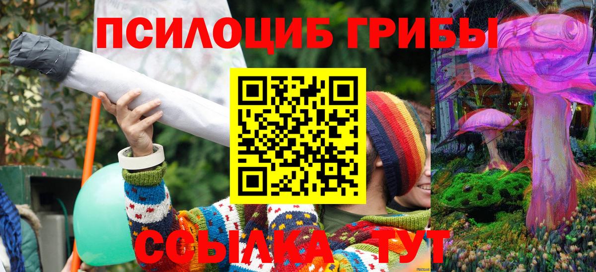 Галлюциногенные грибы GOLDEN TEACHER Ефремов