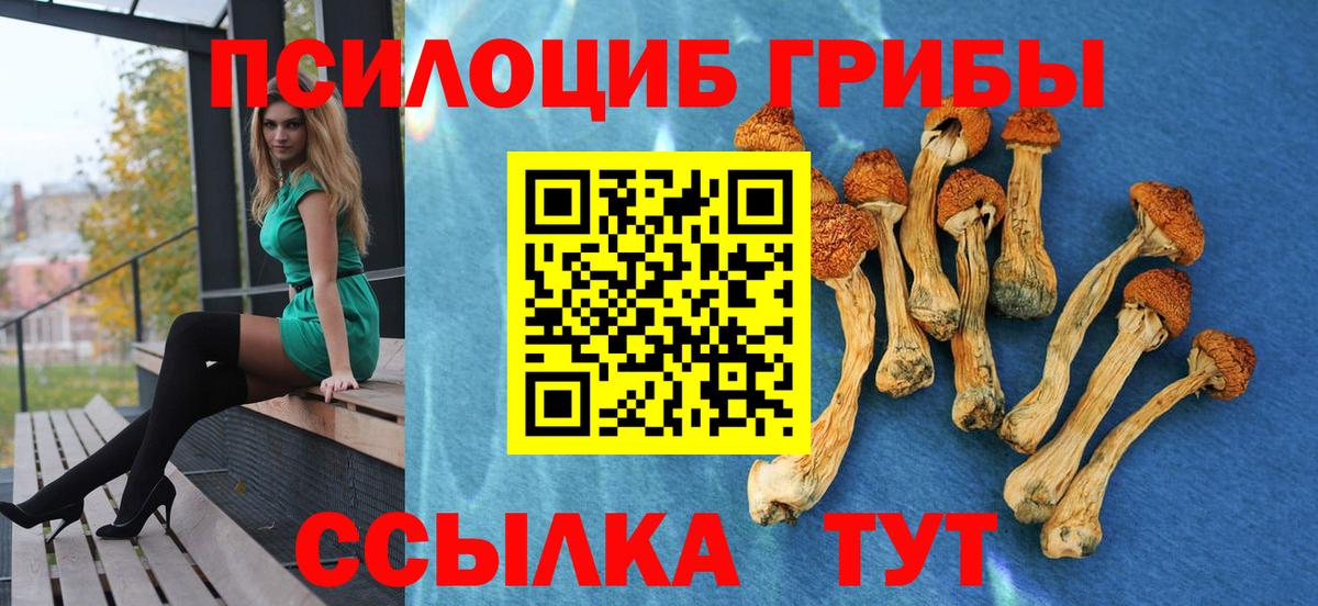 магазин продажи   Галлюциногенные грибы прущие грибы  Вход с VPN  Ефремов 