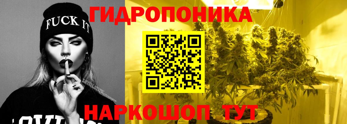 Шишки марихуана OG Kush  Вход с VPN  Ефремов  Бошки марихуана Bruce Banner  Канабис конопля  Шишки марихуана Amnesia 